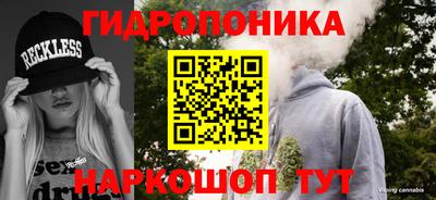 мдпв Пугачёв