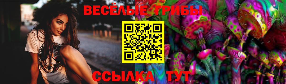 Тавда  Галлюциногенные грибы прущие грибы  Вход с VPN  Псилоцибиновые грибы мухоморы 